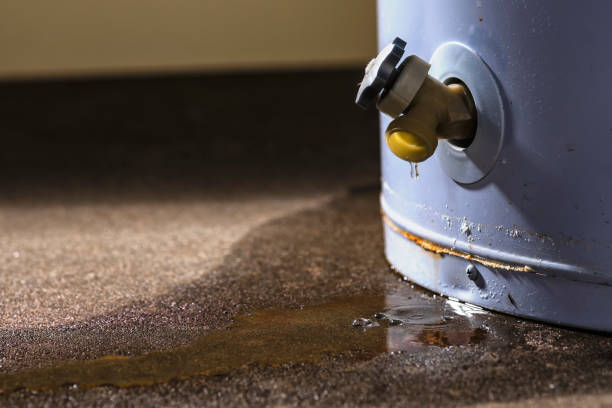 Best 24/7 water damage repair  in Hornell, NY
