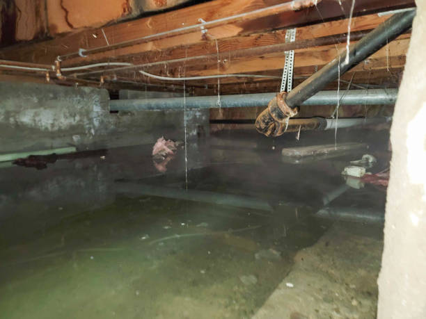 Best Ceiling water damage repair  in Hornell, NY