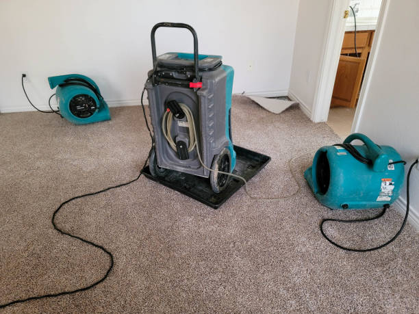 Best 24/7 water damage repair  in Hornell, NY
