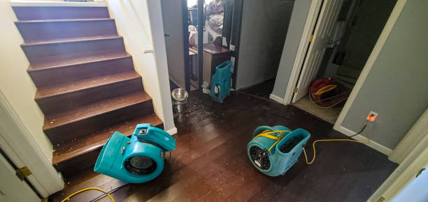 Best 24/7 water damage repair  in Hornell, NY