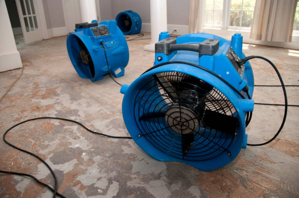 Hornell, NY Water damage restoration Company