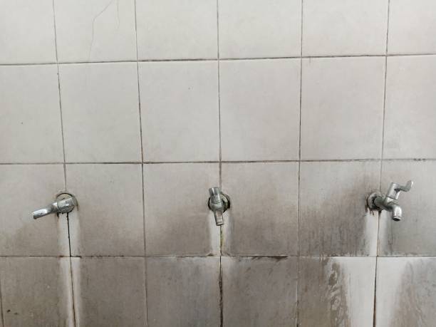 Best Emergency water extraction  in Hornell, NY